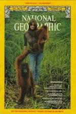 Watch Search for the Great Apes Fmovies