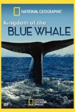Watch National Geographic Kingdom of Blue Whale Fmovies