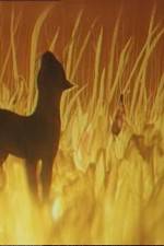 Watch The Cat Who Walked by Herself Fmovies