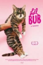 Watch Lil Bub & Friendz Fmovies