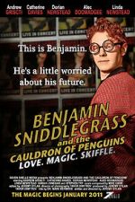 Watch Benjamin Sniddlegrass and the Cauldron of Penguins Fmovies