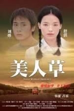 Watch The Foliage Fmovies