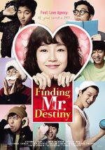 Watch Finding Mr. Destiny Fmovies