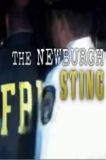 Watch The Newburgh Sting Fmovies