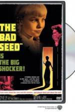 Watch The Bad Seed Fmovies