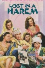 Watch Lost in a Harem Fmovies