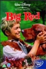 Watch Big Red Fmovies