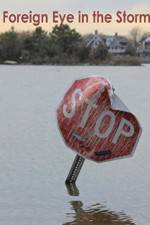 Watch Foreign Eye in the Storm Fmovies