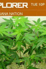 Watch Marijuana Nation Fmovies