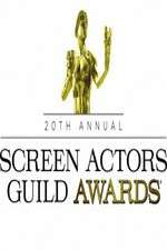 Watch The 20th Annual Screen Actors Guild Awards Fmovies
