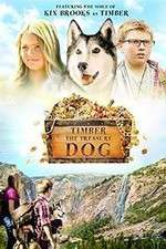 Watch Timber the Treasure Dog Fmovies