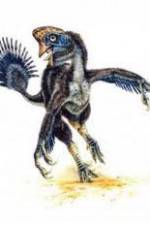 Watch National Geographic Wild : Evolutions Last Living Dinosaur Fmovies