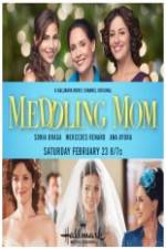 Watch Meddling Mom Fmovies