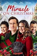 Watch Miracle on Christmas Fmovies