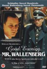 Watch Good Evening, Mr. Wallenberg Fmovies