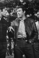 Watch The Devil's 8 Fmovies