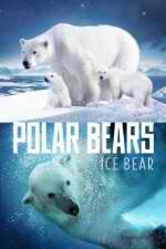 Watch Polar Bears Ice Bear Fmovies