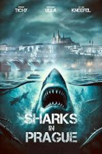 Watch Sharks in Prague Fmovies