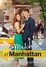 Watch A Match in Manhattan Fmovies