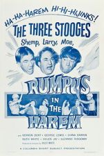 Watch Rumpus in the Harem Fmovies