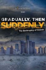 Watch Gradually, Then Suddenly: The Bankruptcy of Detroit Fmovies