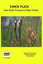 Watch Chick Flick How Birds Produce and Raise Chicks Fmovies