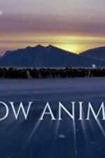 Watch Snow Animals Fmovies