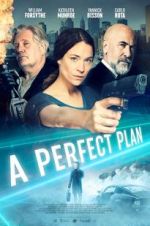 Watch A Perfect Plan Fmovies
