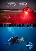 Watch The Last Turtle (Short 2019) Fmovies