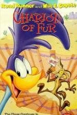 Watch Ready Woolen and Able Fmovies