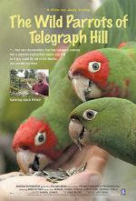 Watch The Wild Parrots of Telegraph Hill Fmovies