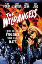 Watch The Wild Angels Fmovies