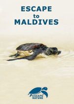 Watch Escape to Maldives Fmovies