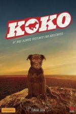 Watch Koko: A Red Dog Story Fmovies