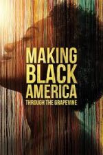 Watch Making Black America: Through the Grapevine Fmovies
