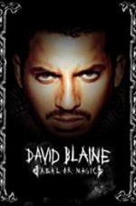 Watch David Blaine: Real or Magic Fmovies