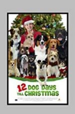 Watch 12 Dog Days Till Christmas Fmovies