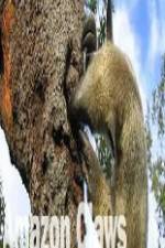 Watch National Geographic Wild Amazon Claws Fmovies