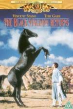 Watch The Black Stallion Returns Fmovies