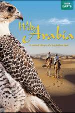 Watch Wild Arabia Fmovies