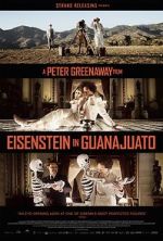 Watch Eisenstein in Guanajuato Fmovies
