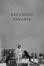Watch Les chiens savants Fmovies