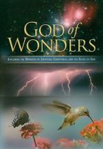 Watch God of Wonders Fmovies