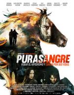 Watch Purasangre Fmovies