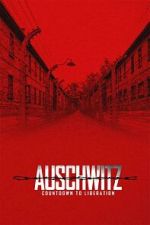Watch Auschwitz: Countdown to Liberation Fmovies