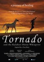 Watch Tornado and the Kalahari Horse Whisperer Fmovies