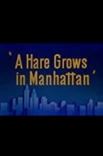 Watch A Hare Grows in Manhattan Fmovies
