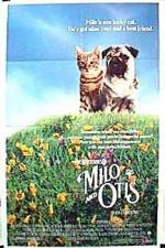 Watch Milo & Otis Fmovies