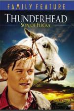 Watch Thunderhead - Son of Flicka Fmovies