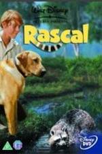 Watch Rascal Fmovies